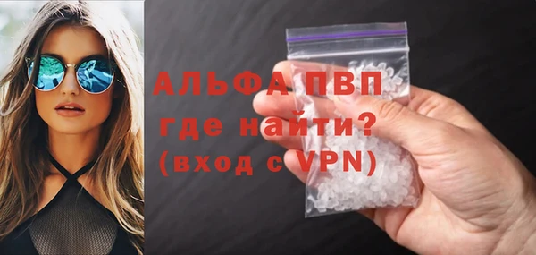 сатива Аркадак