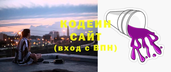 дживик Арсеньев