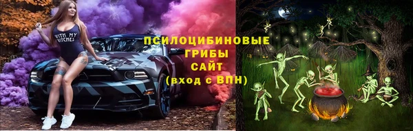 дживик Арсеньев