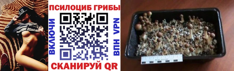 mega как зайти  Солнечногорск  Галлюциногенные грибы ЛСД 